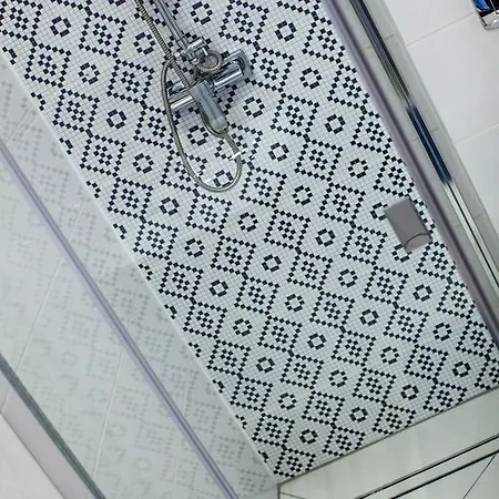 شقة Apartament Centrum بيشتنا